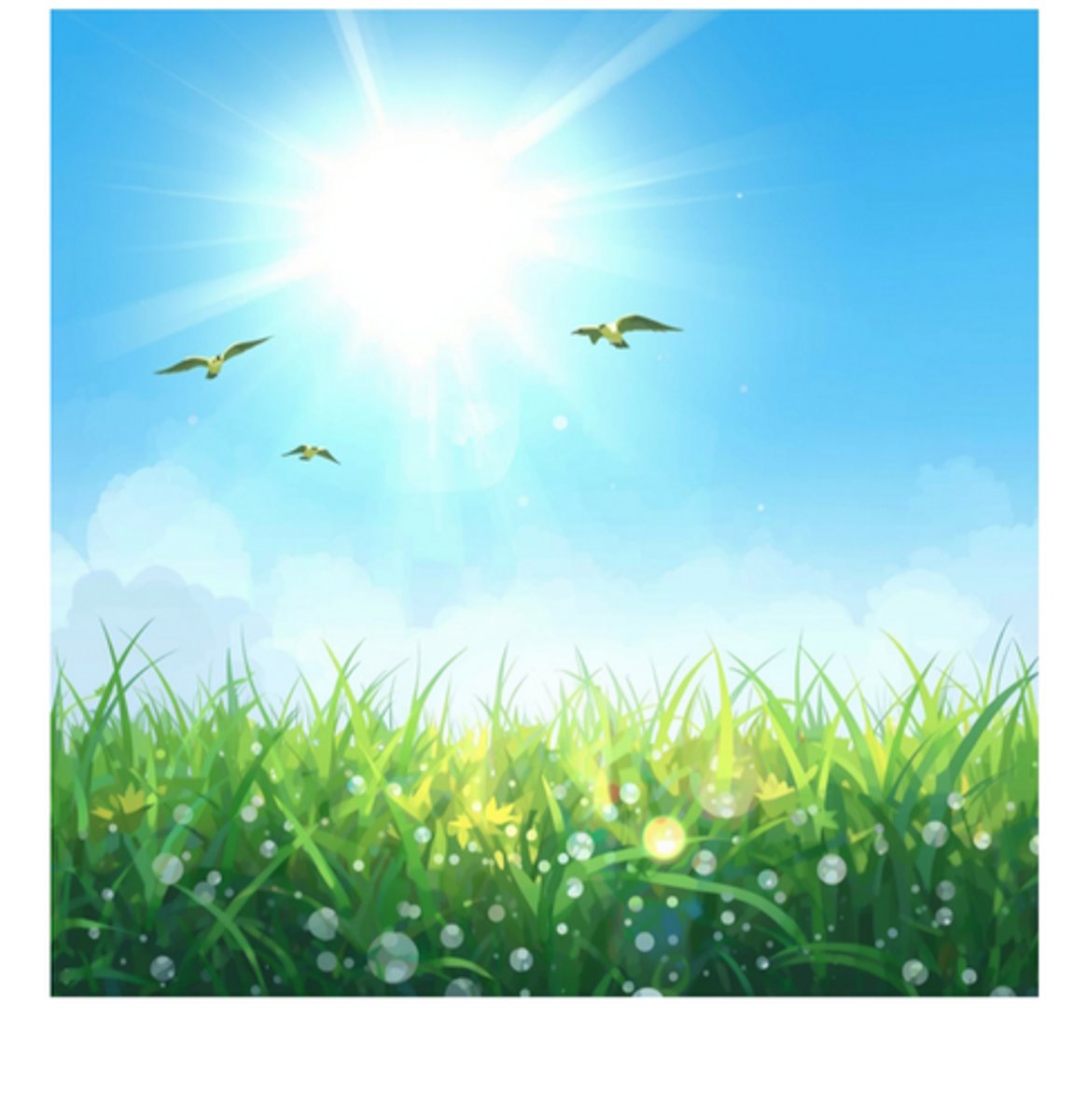 <p>butun ertalab</p>