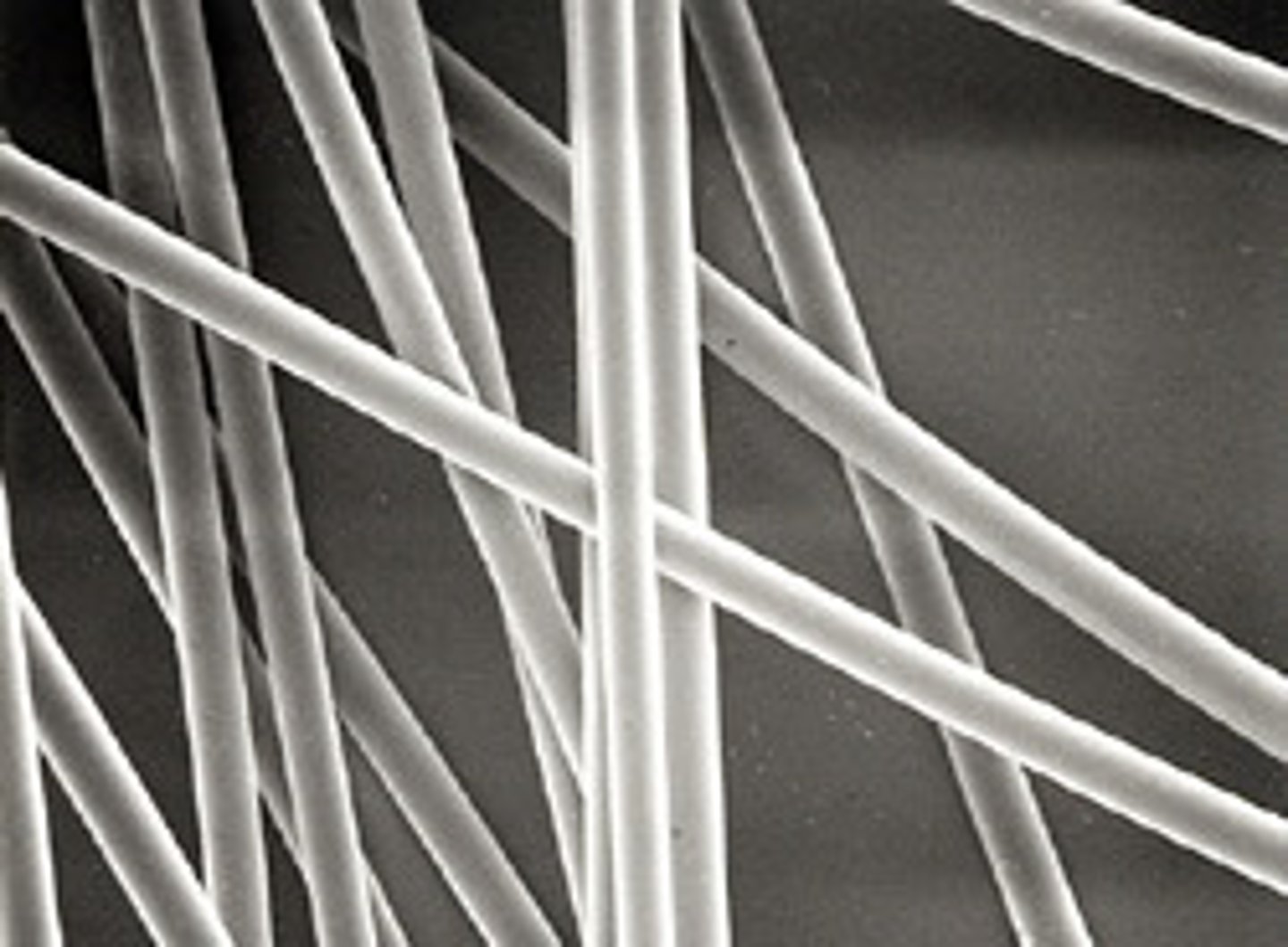 <p>What fiber is this?</p>