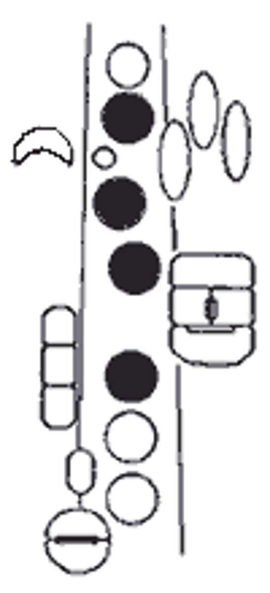 knowt flashcard image
