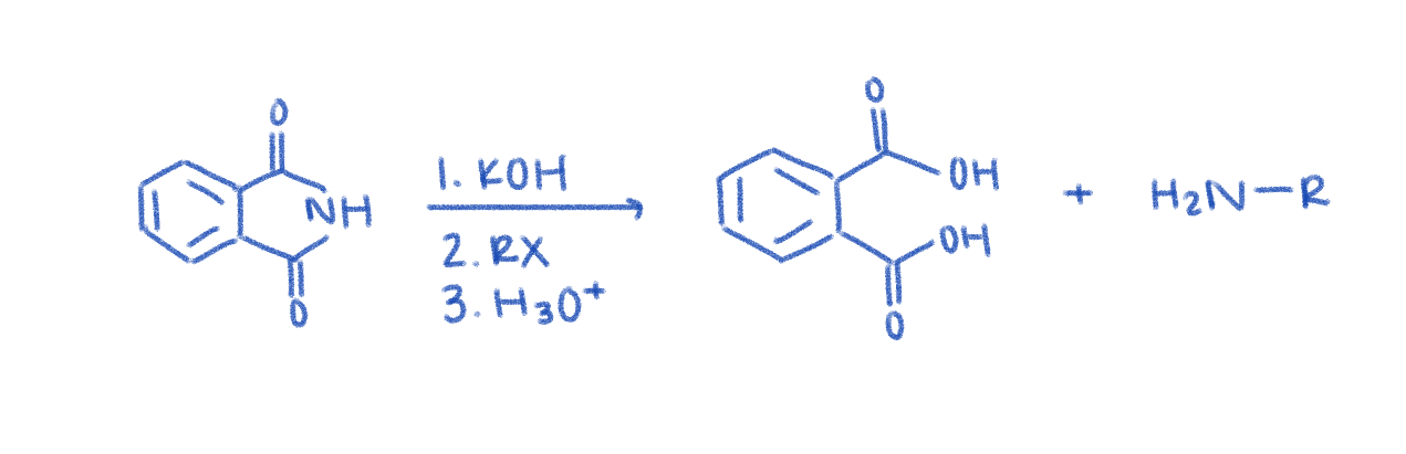 <p>* only makes primary amines</p><p></p>