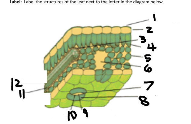 <p>5</p>