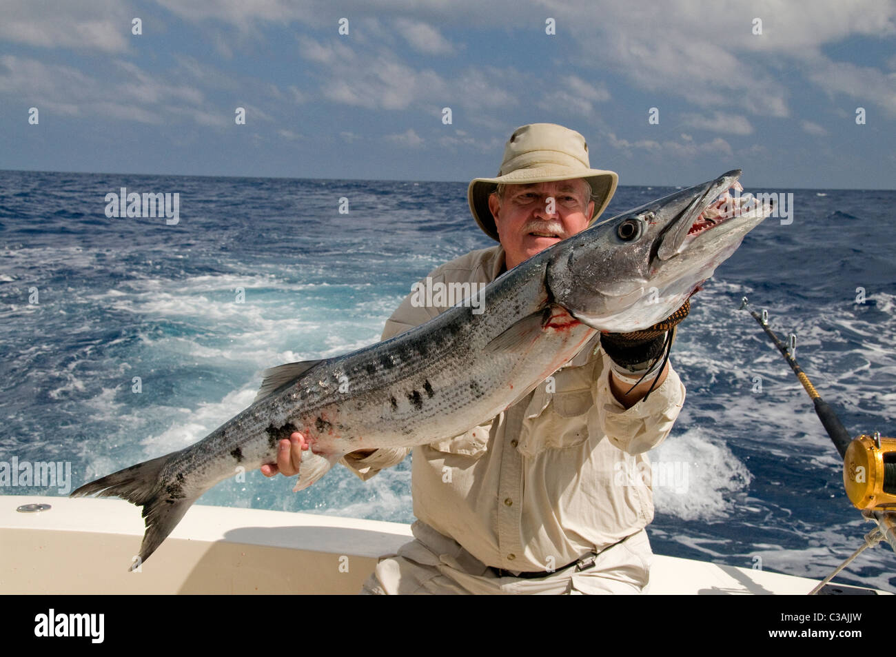<p>Large teeth </p><p>Black blotches on side</p><p>Dorsal fins are far apart</p>