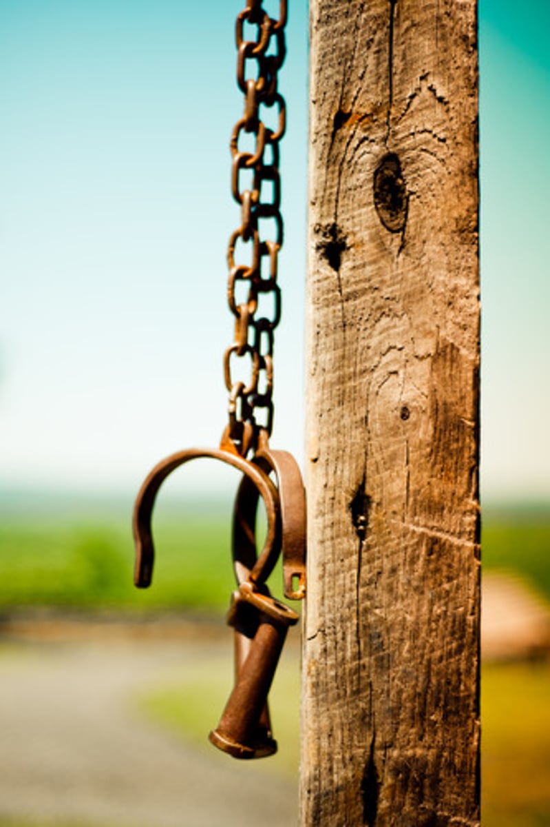 <p>(v.) to put into chains; (N., usually pl.) a chain, fetter (The guards attempted to _______ the prisoner before allowing him to board the waiting airplane.) (His wicked plot discovered, the prince was bound in _______, and taken to the dank dungeon.)</p>