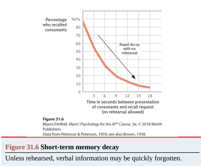 <p>Short term memory decay</p>