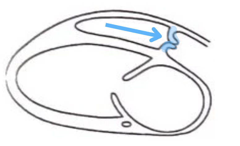 <p>What is this structure?</p>