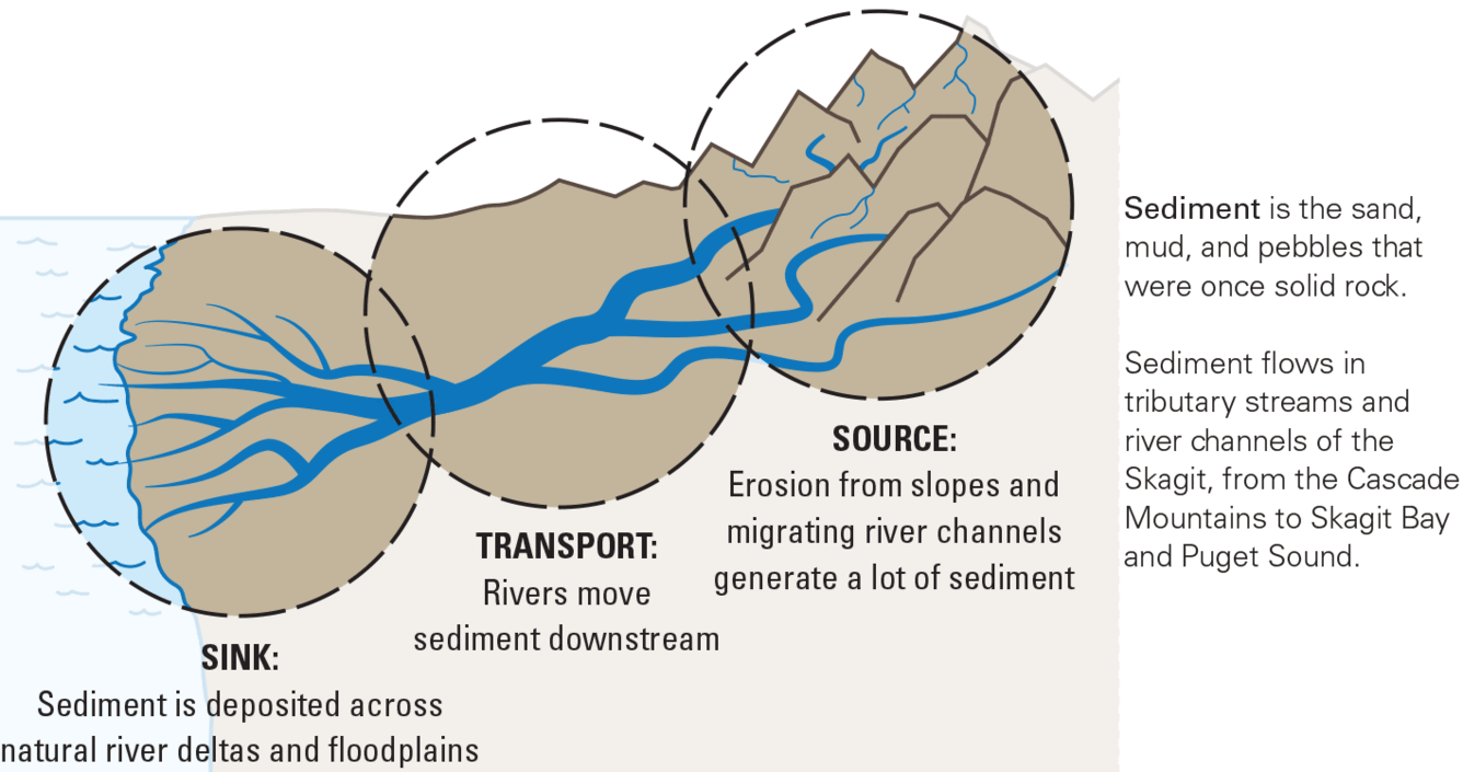 <ul><li><p><strong>Meandering Rivers</strong> → Erode outer banks, deposit on inner banks.</p></li><li><p><strong>Braided Rivers</strong> → High sediment load, shifting channels.</p></li></ul><p></p>