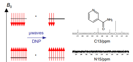 <p>Dynamic nuclear polarisation. An electron in a stable radical is used to polarise nuclei at low temperatures under microwave irradiation. When the sample thaws there is a strong NMR signal.</p><ul><li><p>This is due to a change in population difference that exceeds the normal value (it is hyperpolarised).</p></li></ul><p></p>