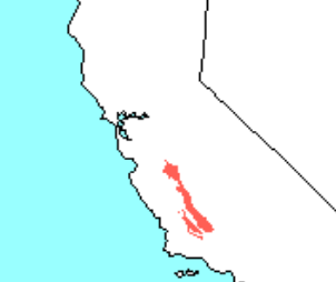 <p>Which species fits the following habitat and management concerns?</p><p><br>Habitat: Endemic to CA, confined to a narrow strip along the San Joaquin Valley and nearby valleys to the west; piedmont plains and (formerly) areas supporting saltbush and perennial grasses</p><p>Management issues: Endangered; habitat loss from ag and resource development (solar farms)</p>