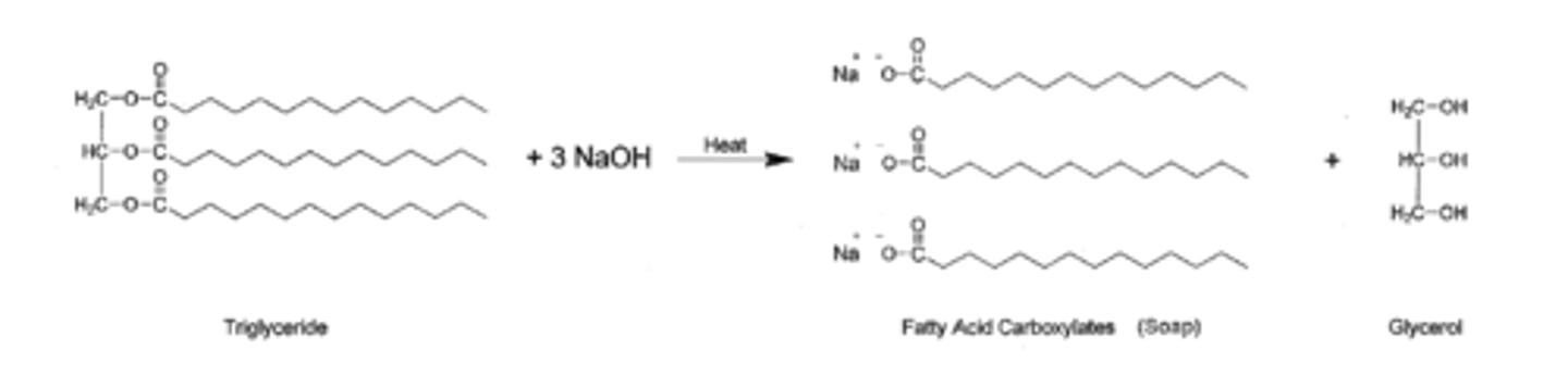 <p>- The fatty acids produced by hydrolysis of triglycerides (esters!) are common ingredients in detergents and soaps</p><p>Fat (solid lipid) or oil (liquid lipid) + 3 equivalents NaOH → glycerine/glycerol + 3 fatty acid salts (carboxylic acid compounds)</p>