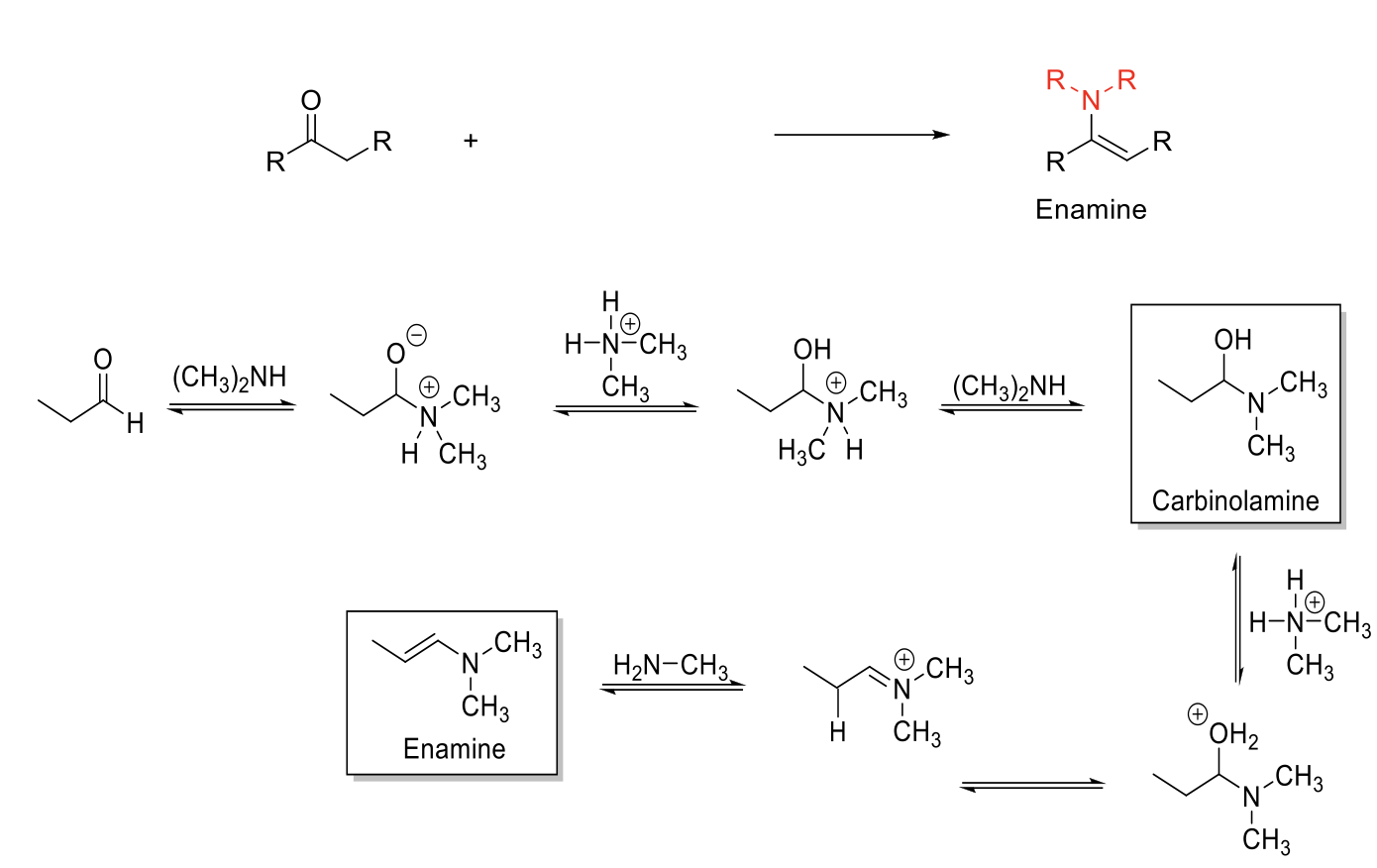 <p>Enamine Formation</p>