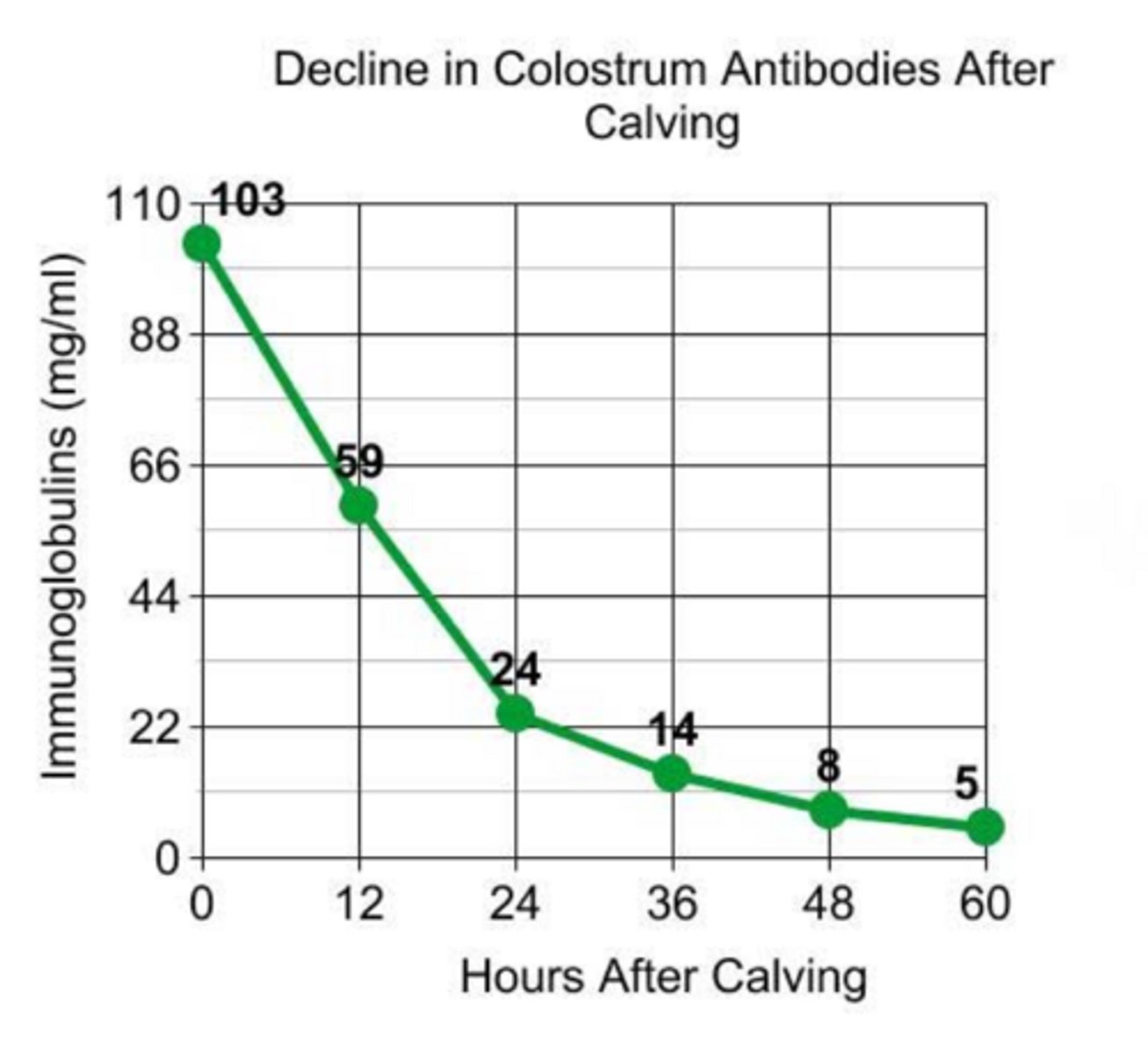 <p>how might you describe IgG levels in heifer colostrum vs. cow</p>