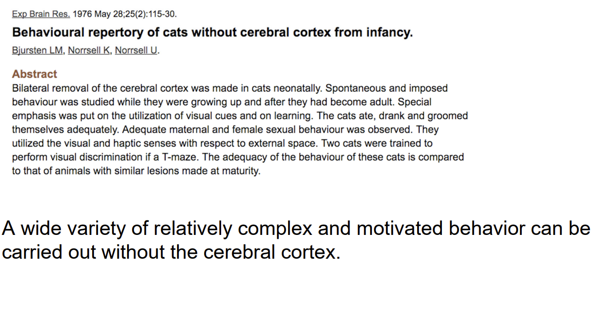 <p>Non-cerebral motor control: the cerebellum and the basal ganglia.</p>