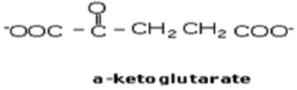 <p>Same structure as glutamate, just that H-C-NH<sub>3</sub><sup>+</sup><sub> </sub>is swapped for C=O</p>