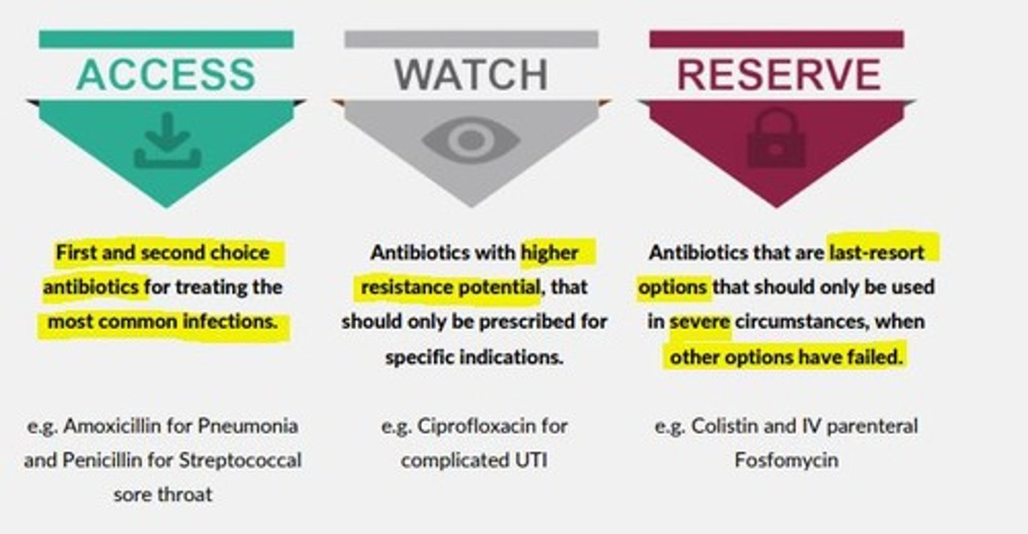 <p>ACCESS</p><p>First and second choice antibiotics for treating the most common infections</p><p>e.g., Amoxicillin for Pneumonia</p><p>WATCH</p><p>Antibiotics with higher resistance potential that should only be prescribed in specific indications </p><p>e.g., Ciprofloxacin for complicated UTIs</p><p>RESERVE</p><p>Antibiotics that are last-resort options should only be used in severe circumstances, when other options have failed</p><p>e.g., Colistin and IV parenteral Fosfomycin </p>