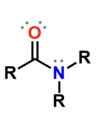 <p>Amido, polar but doesn’t bear a charge</p>