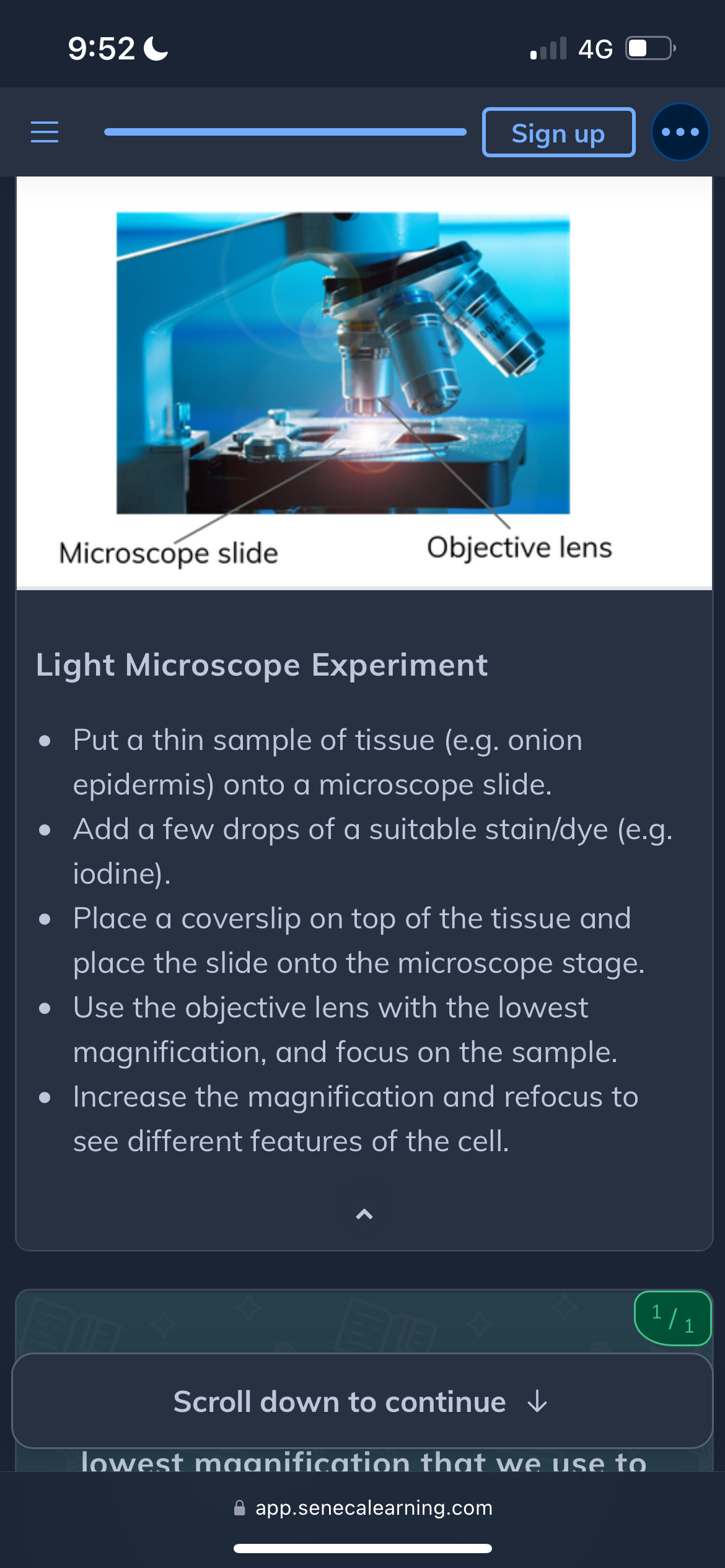 knowt flashcard image
