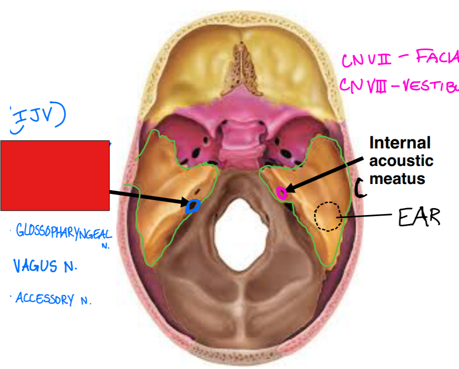 <p>Fill in the red box: </p>