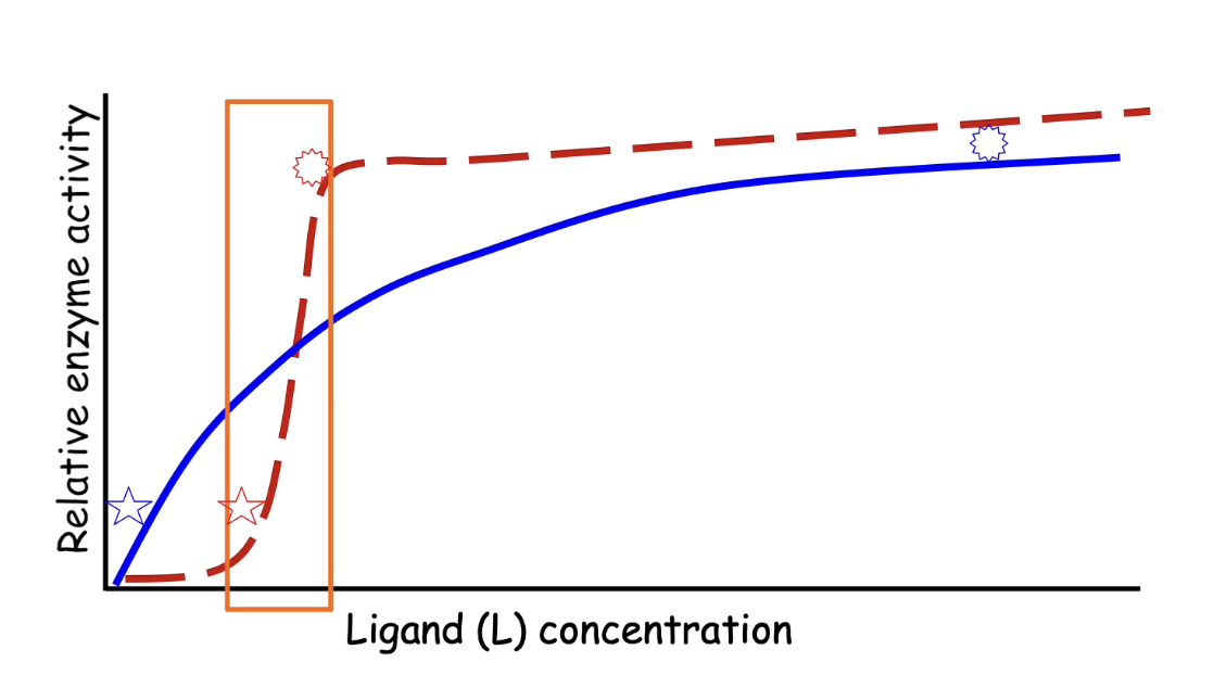 <ul><li><p class=""><strong>Monomeric enzyme</strong> (blue curve):</p><ul><li><p class="">Traditional hyperbolic Michaelis-Menten curve</p></li><li><p class="">Requires <strong>large increase</strong> in ligand concentration to go from 10% → 100% activity</p></li></ul></li><li><p class=""><strong>Multimeric enzyme with cooperativity</strong> (red curve):</p><ul><li><p class="">Sigmoidal curve due to cooperative allostery</p></li><li><p class="">Requires <strong>small increase</strong> in ligand concentration for same increase in activity</p></li></ul></li><li><p class="">Allows for <strong>more sensitive and rapid response</strong> in cells</p></li></ul><p></p>