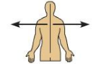 <p>Lateral</p>