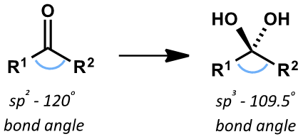 <p>they would go to an sp<sup>3</sup> system </p><p>reduces bond angle = greater repulsion</p>