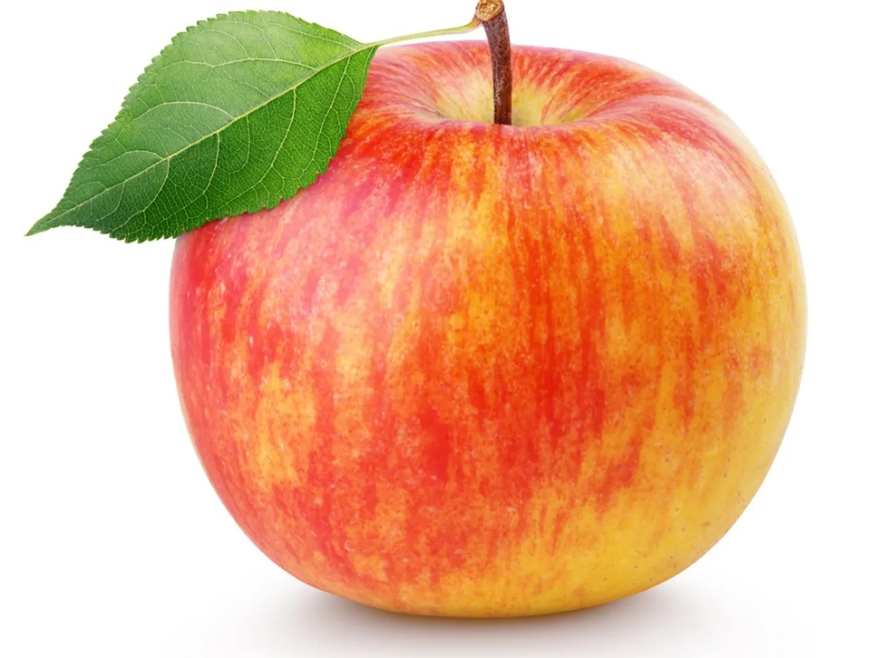 <p>La <strong>manzana</strong></p>