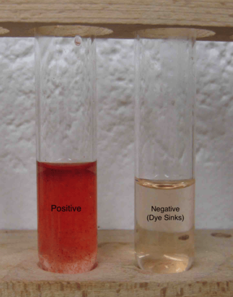 <p>tests for lipids<br>insoluble black powder ----&gt; dissolves to make red<br>(-) (+)</p>