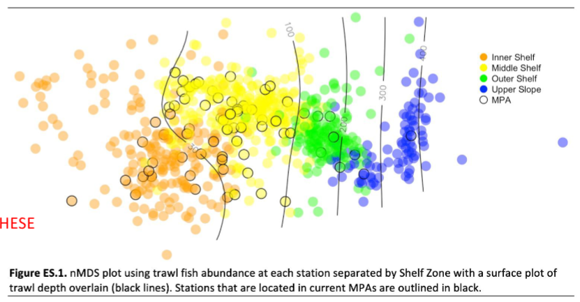 <p><span><span>A visualization technique that represents the relationships between complex datasets in a low-dimensional space</span></span></p>