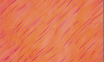<p>tendons, ligaments, aponeuroses</p>