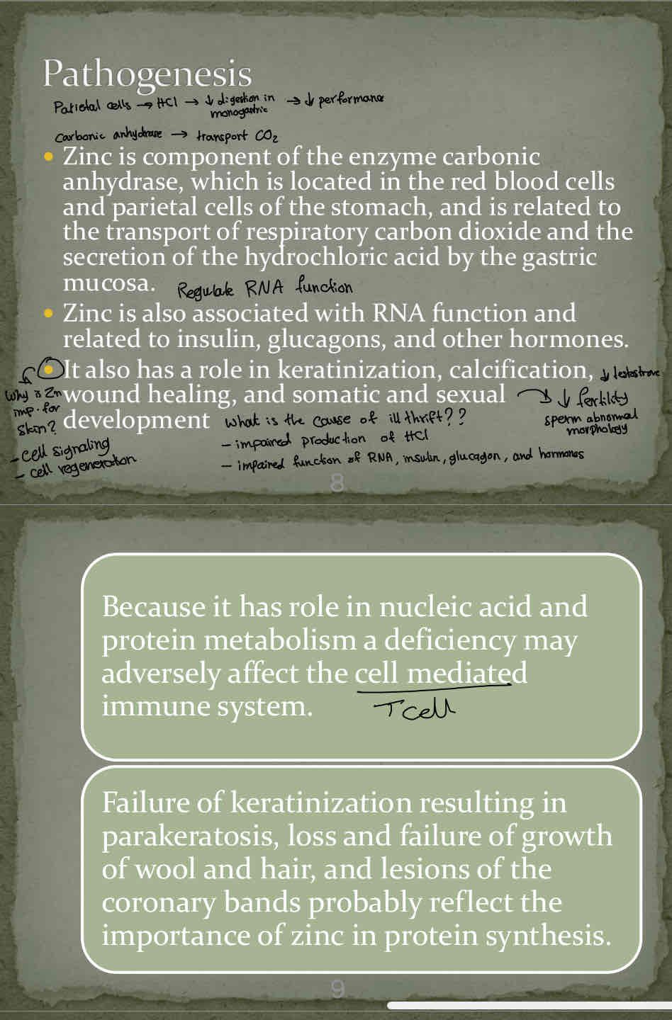 knowt flashcard image
