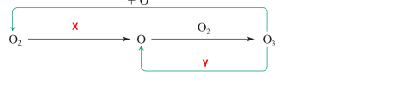 <p>UV-C, UV-B</p>