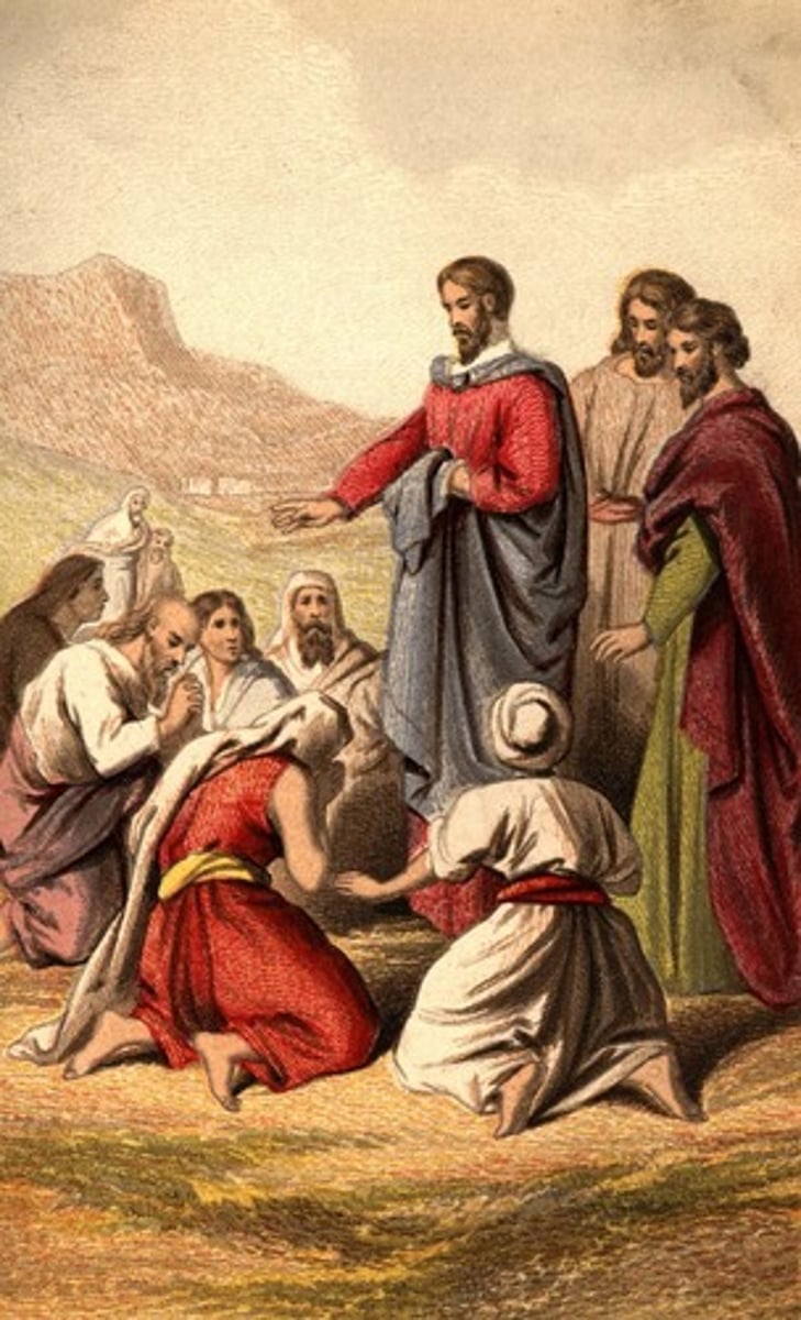 <p>What Jesus says = What God requires us to do</p>