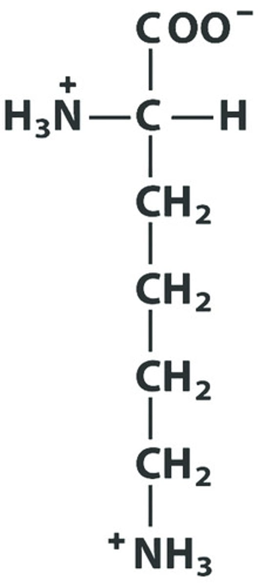 <p>Give the symbol, abbreviation, name of this amino acid, as well as the pKa of its R group (aka side chain)</p>