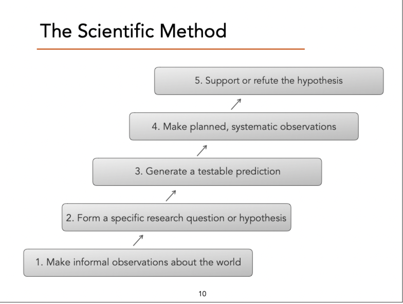 <ol><li><p>make informal observations about the world</p></li><li><p>form a specific research question or hypothesis</p></li><li><p>generate a testable prediction</p></li><li><p>make planned, systematic observations</p></li><li><p>support or refute the hypothesis</p></li></ol><p></p>