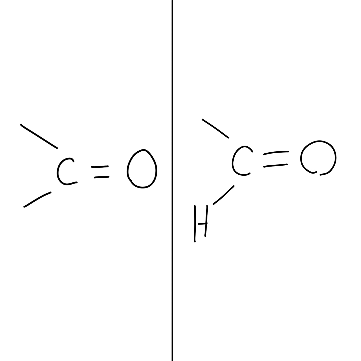 BIO 115 Exam 1 Practice Flashcards (Part 2 of 4) Flashcards Knowt