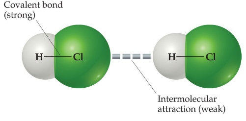 <p>Intermolecular forces vs intramolecular forces</p>