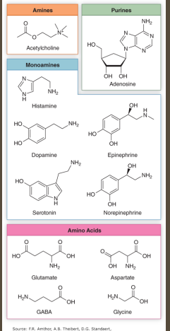 <p><strong>Neurotransmitters</strong></p><p>-Molecules that carry a ________ from one nerve to another nerve or cell type </p><p>-Important NTs → glutamate, ____, acetylcholine, dopamine, norepinephrine, and ________</p><p>-Properties → excitatory, inhibitor, __________. Short or long-lasting time course </p>