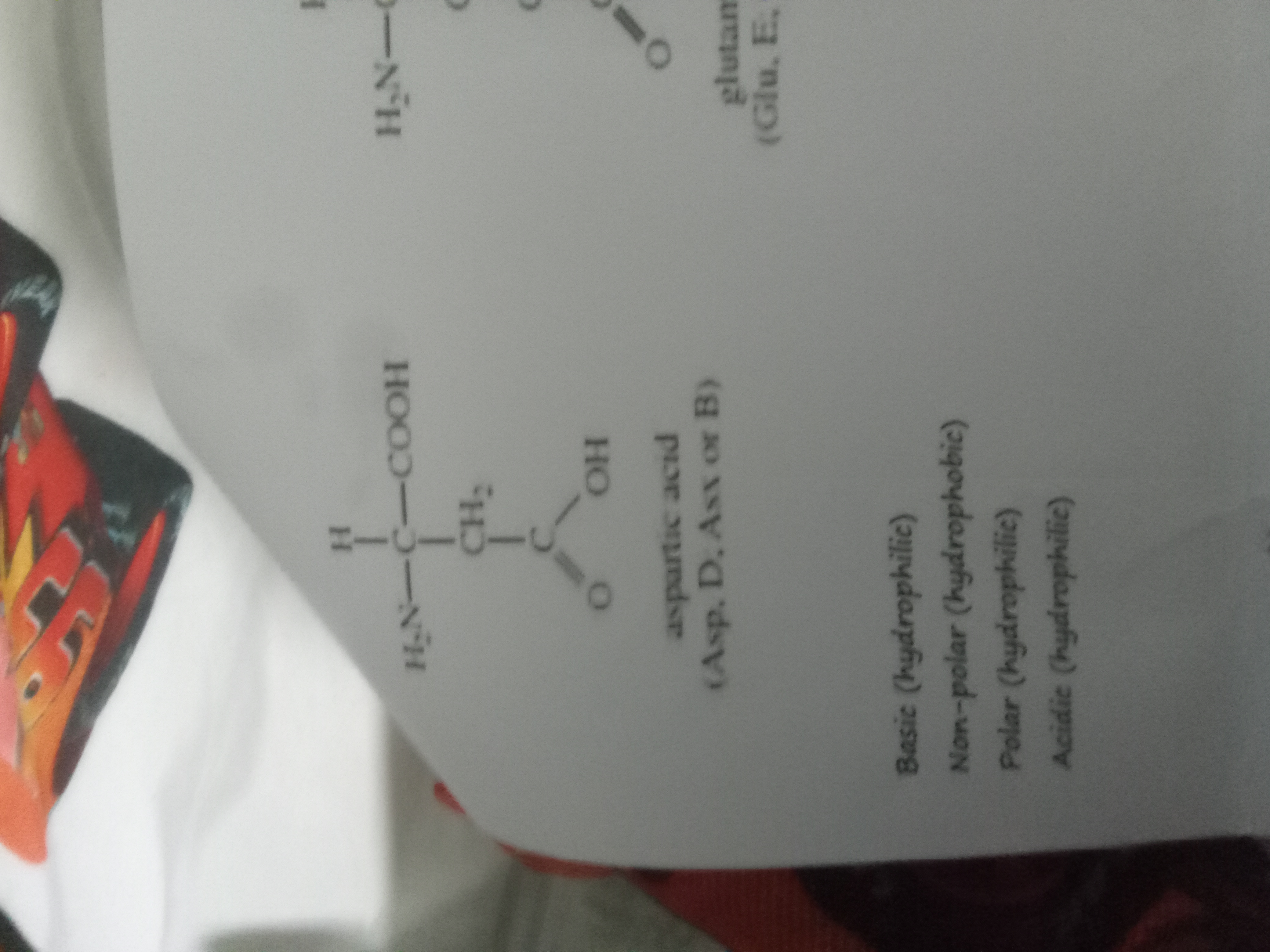 <p>Aspartic acid</p>