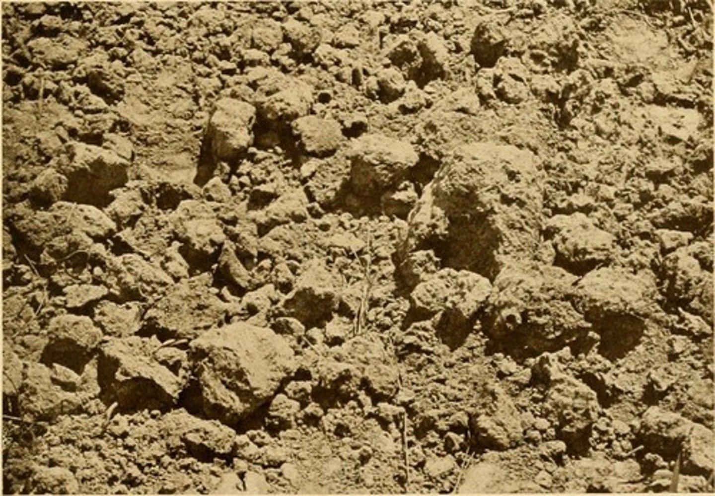 <p>earth, soil</p>