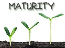 <p>maturity</p>