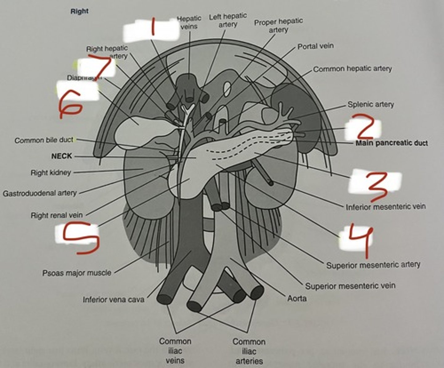 <p>5</p>
