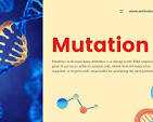<p>A mutation is an unexpected change in an organism’s DNA sequence. This is very often referred to when fighting viruses or bacteria with medicine because these creatures reproduce and die and live so fast that mutations such as antibiotic resistance are a lot more likely. But in most cases, mutations are bad;  they can cause disabilities and many other bad things.</p>