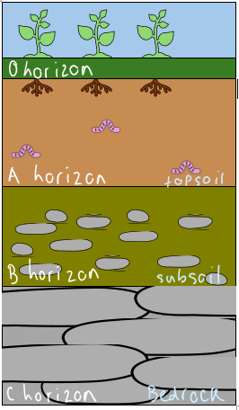 Soil profile