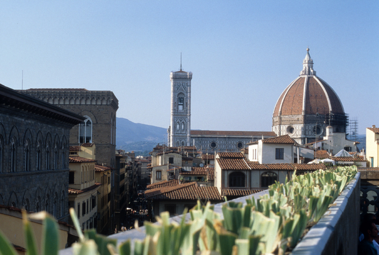 <p>double wall in domes, semi dome supports</p>