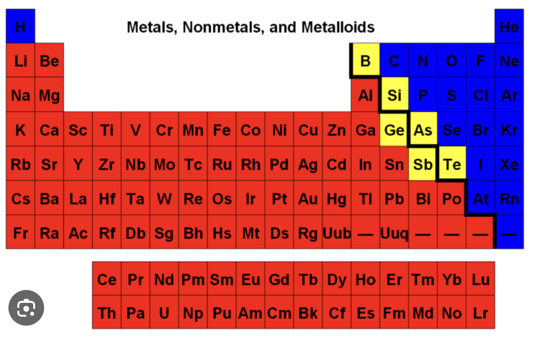 <p>the yellow parts are..</p>