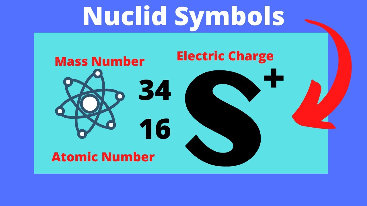 <p>Nuclide</p>