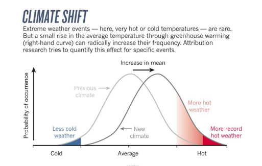 <p>(how?)&nbsp;</p><ul><li><p>human activity increases atmospheric CO2 concentration, by taking C stored in unavailable forms (fossil fuels - coals / petrol / oil / gas), and releasing this into the atmosphere - disrupting the cycle as the rest of it cannot act to remove these excess levels (was in perfect balance, increasing one aspect drastically means the rest of the system will not be able to keep up)</p></li><li><p>this has been seen via increased atmospheric CO2 levels since the industrial revolution, marking the beginning of fossil fuel burning to power many proceses important for society (food production, clothing production, electricity, cars and machinery)</p></li></ul><p>(what does this cause?)</p><ul><li><p>has the major effect of global warming via the greenhouse effect - CO2 in the atmosphere absorbing heat reflected off Earth, and re-radiating it to maintain heat / energy to the surface, which would otherwise escape (required for life)</p></li><li><p>so therefore adding CO2, means more heat is retained (impacts Earth’s heat budget, retains more energy than needed and can be effectively used in the ecosystems)</p></li><li><p>this is shown by evidence of major correlation between increasing global temperature &amp; atmospheric CO2 over time, which completely deviates from modelled predicted global temperatures over time without excess human activity (way out of the norm of the million year system)</p></li><li><p>also evidenced by naturally uneven global heating, having increased warm patches, and less cold patches - worldwide AND that warmest years on record, are all more recent years (a clear trend)</p></li><li><p>also evidenced by massive changes of glaciers (e.g.Park Pass Glacier) in short periods of time (more melting, getting smaller)</p></li></ul><p>(why is this harmful?)</p><ul><li><p>causes shifts in climate (climate is a distribution, has extreme hots &amp; colds at the upper and lower limits, with the most common climates a median one), so increasing the mean temperature, shifts the distribution to higher temperatures</p></li><li><p>this means that temperatuers in the upper extremes can reach higher levels, and temperatures that used to be the upper extremes will now occur more commonly</p></li><li><p>this has worrying effects for ecosystems &amp; environments, who are unadapted to these high temperature levels / rapidly changing temperature, so may cause population &amp; biodiversity declines&nbsp;</p></li><li><p>hotter causes increased drying, so levels of fires increase (very disruptive to ecosystems &amp; biodiversity if not evolved to withstand &amp; do succession after fires - or as often / severe as this drying will cause)</p></li><li><p>more energy absorbed in Earth’s system increases weather severity, as there is more energy available to drive weather processes and put water into the atmosphere (more severe rain / floods / storms / atmospheric rivers / winds / cyclones)</p></li><li><p>increases humidity levels, to such a height where some countries have multiple extreme days annually with humidities nearly lethal to humans (32 VS 35 lethal)  (so humid we cannot sweat &amp; regulate body temperature → causing death via heat exhaustion - shown via wet bulb temperatuers, which simulate the act of sweating as water around these bulbs evaporate)</p></li><li><p>so if humidity like this is lethal to humans, it likely has / has already had devastating effects on other parts of the cosystem&nbsp;</p></li></ul><p></p>