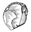 <p>Vad kallas denna?</p>
