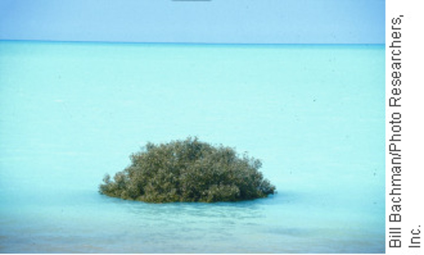 <p>Two high tides in a day</p>