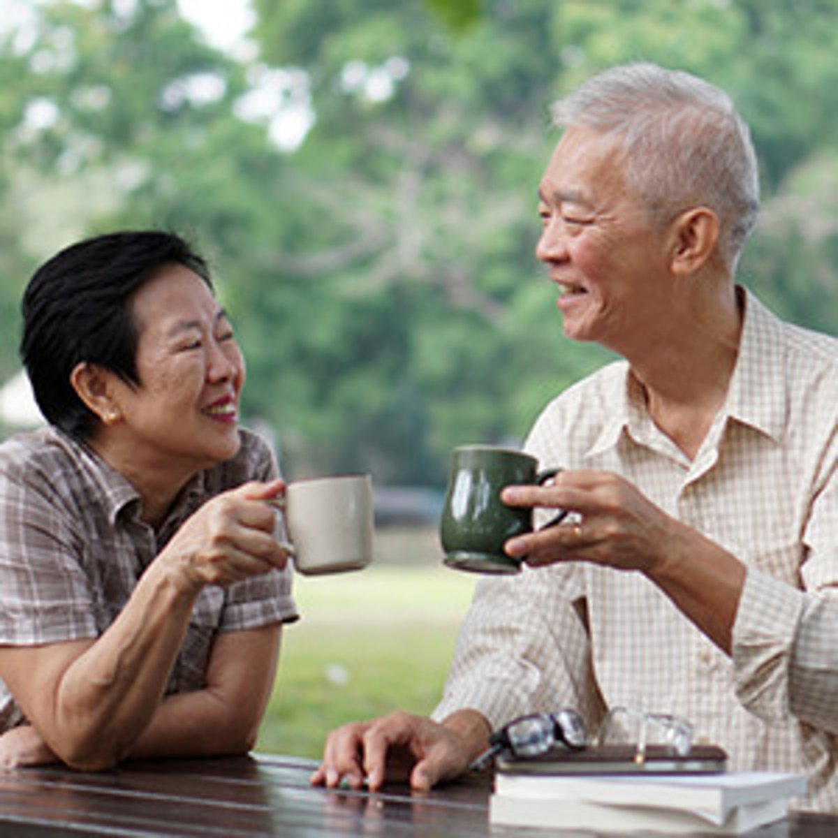 <p>(n) Attraction for someone or something with which one feels a closeness or kinship.</p>