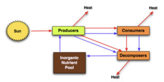 <p>systems elements</p>